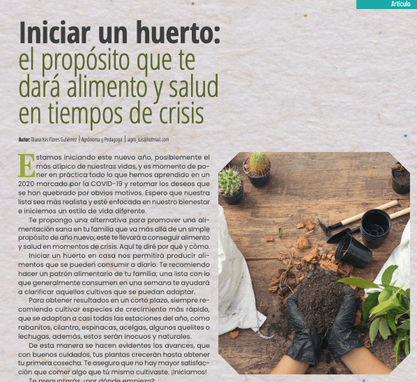 reforma docentes