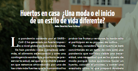 reforma docentes