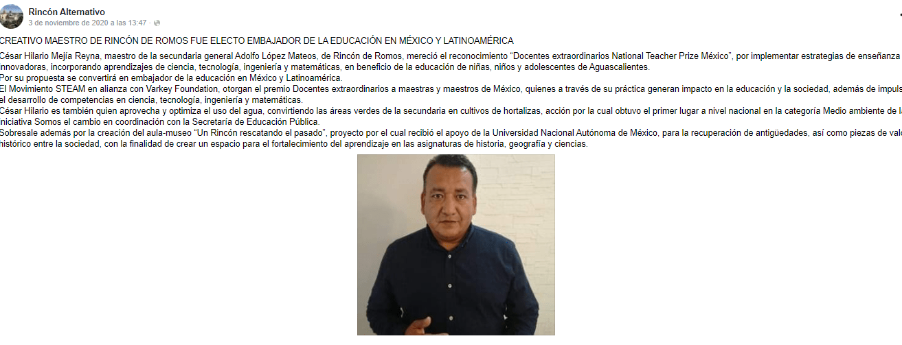 reforma docentes
