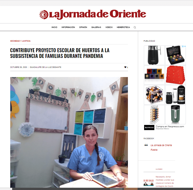 reforma docentes