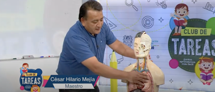 reforma docentes