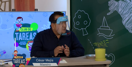 reforma docentes