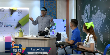 reforma docentes