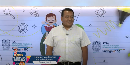 reforma docentes