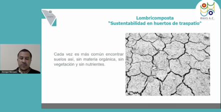 reforma docentes