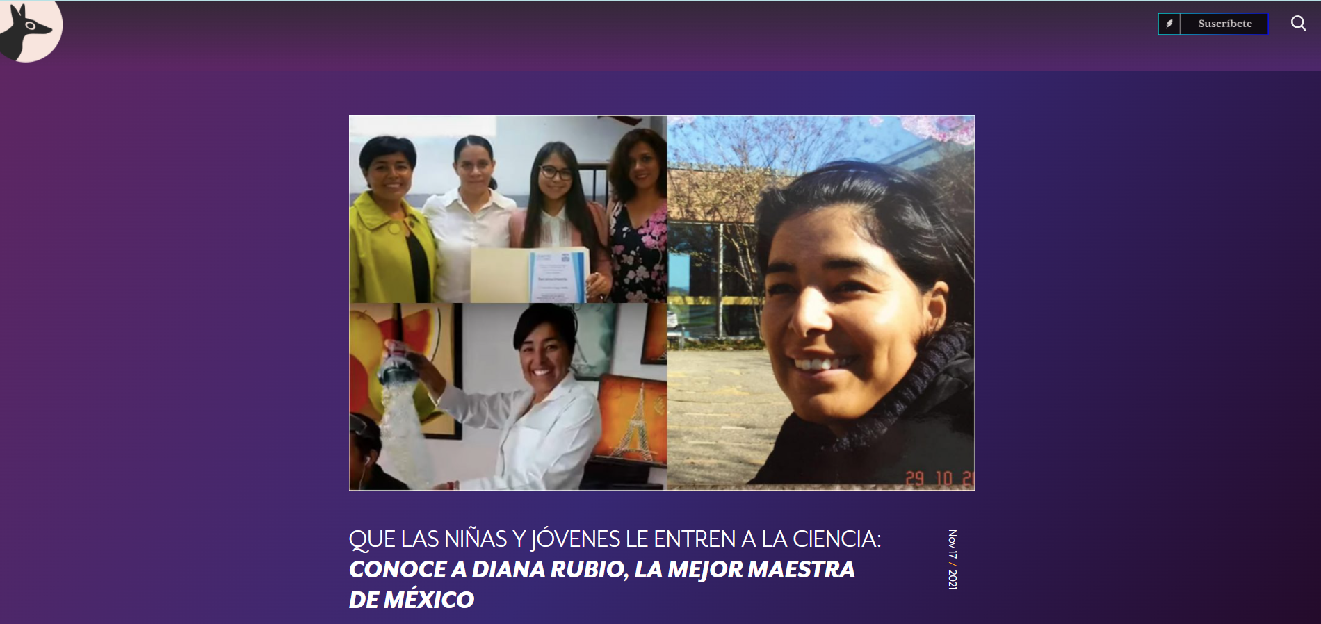 reforma docentes