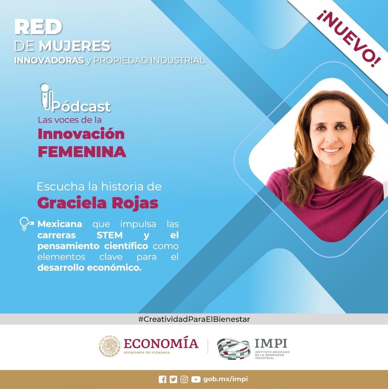 reforma docentes
