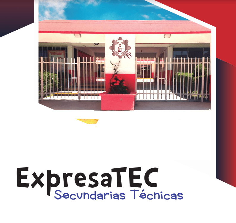 reforma docentes