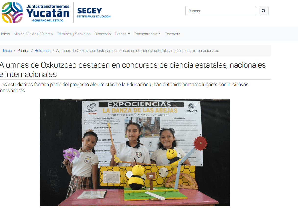 reforma docentes