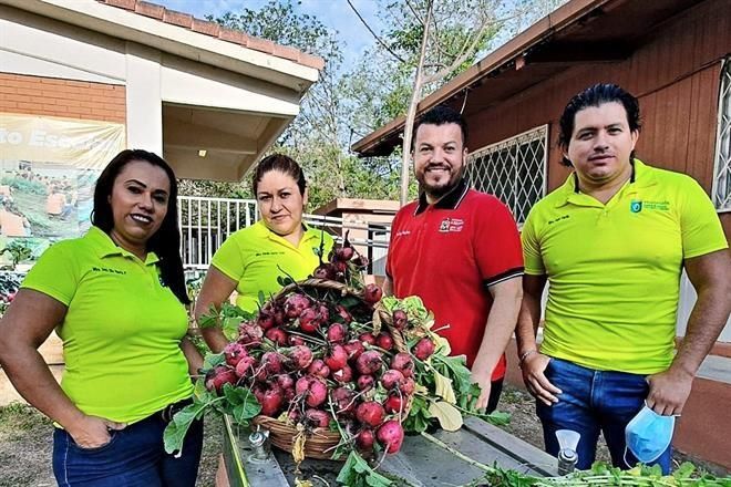 reforma docentes