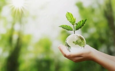 Día Internacional de la Madre Tierra: Un llamado a la acción desde la Educación STEM