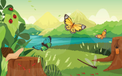 Día Internacional de la Diversidad Biológica: Cuidar con educación y ciencia