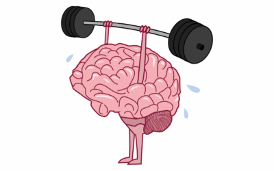 ¡Tu cerebro importa en todas las etapas de la vida!